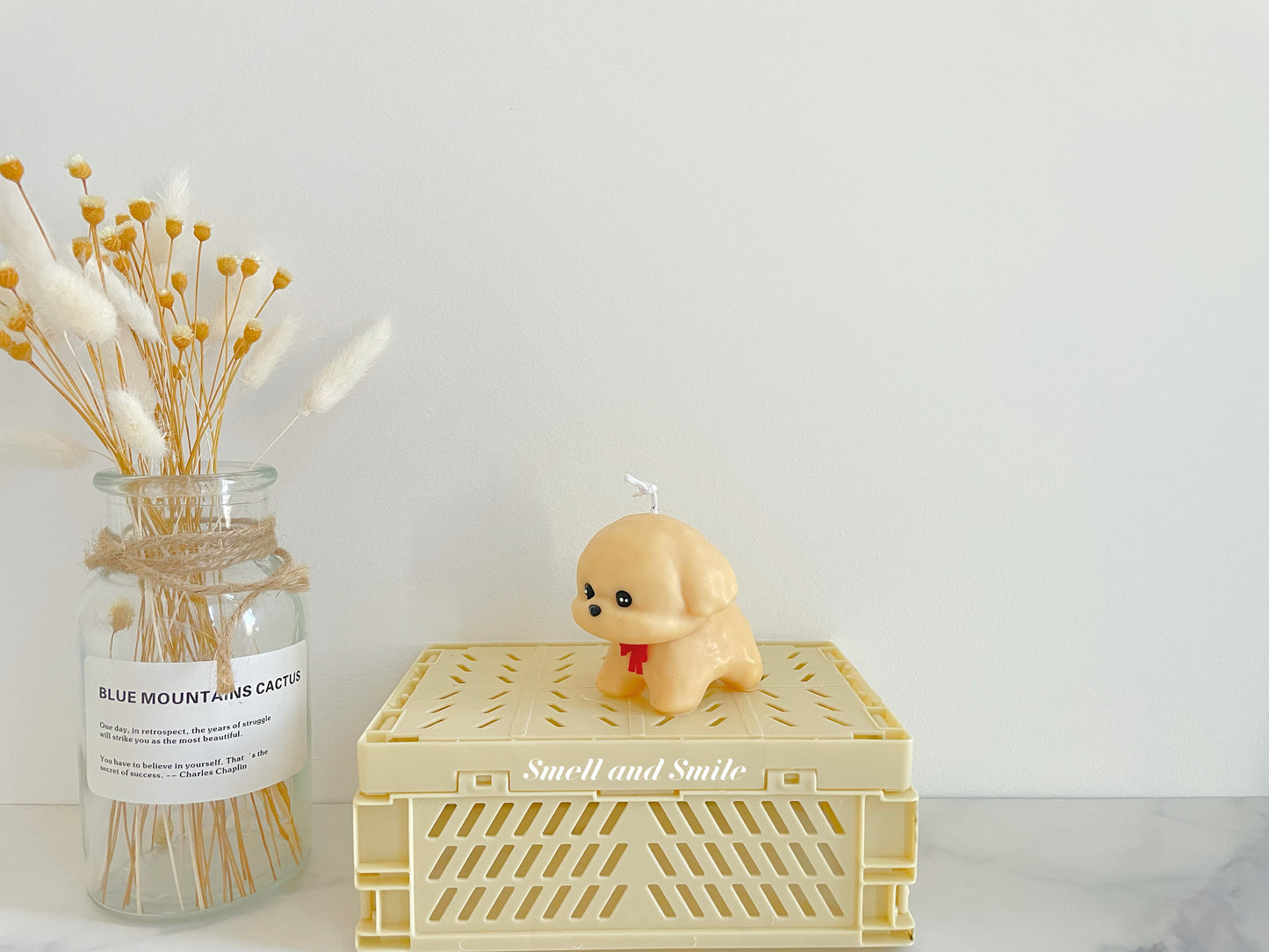 Bichon Frise Puppy Candle