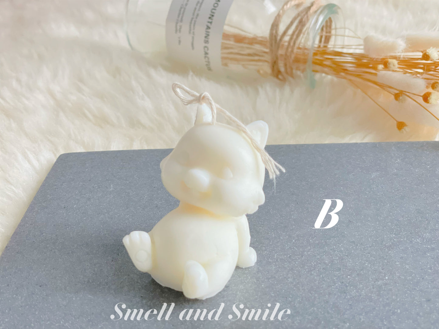 Smiling Cat
