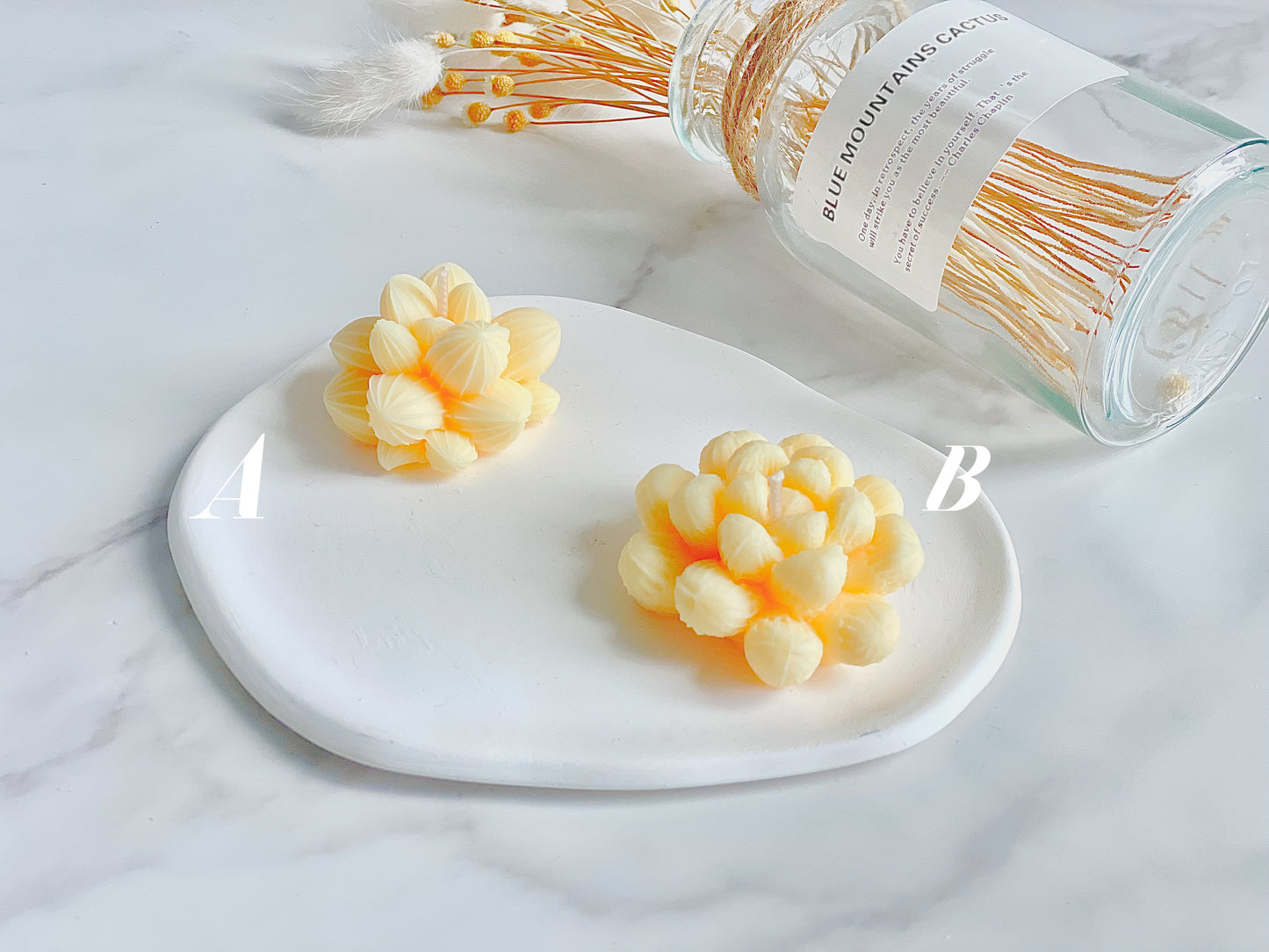 Succulent Candles