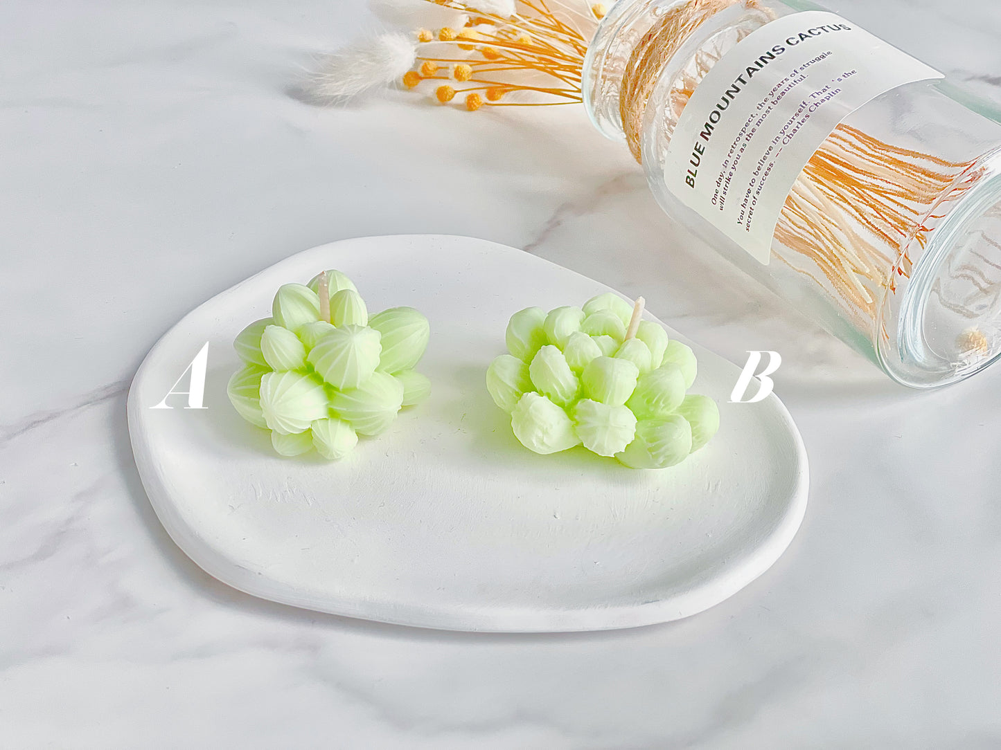 Succulent Candles