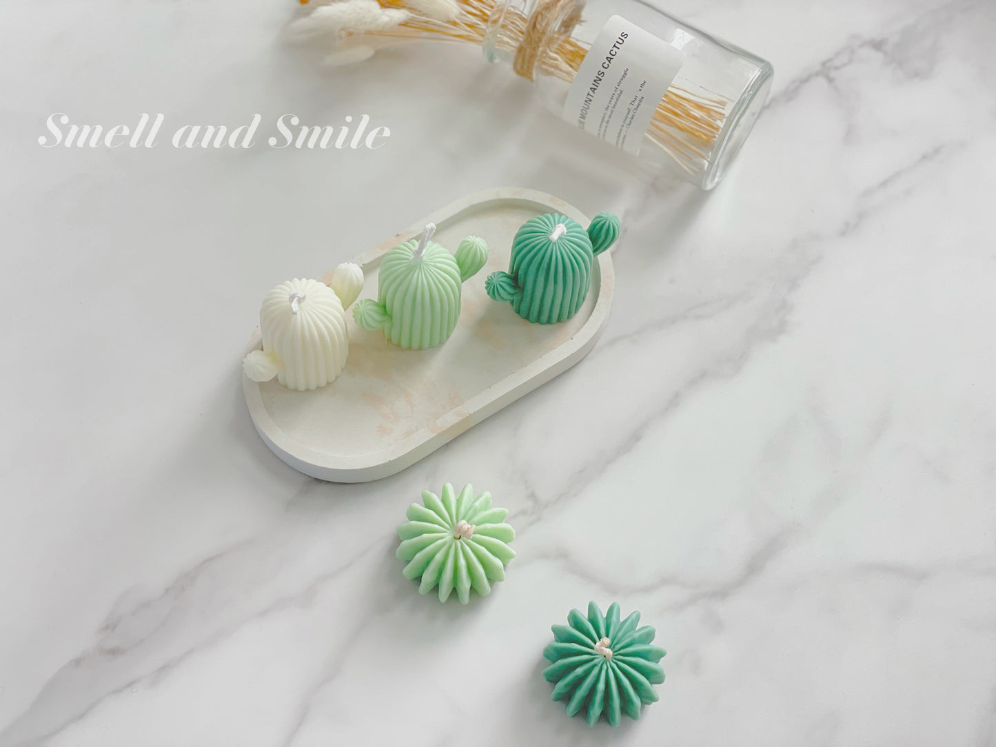 Cactus Plant Pillar Candle