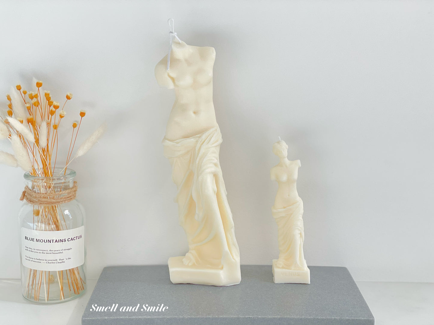 Tall Venus Candle