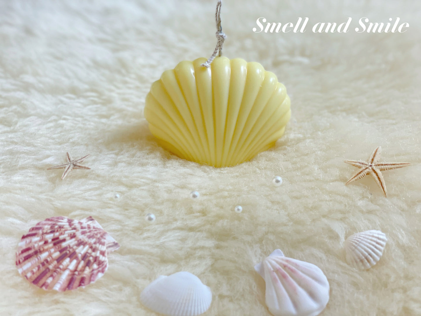 Shell Shaped Scented Candle