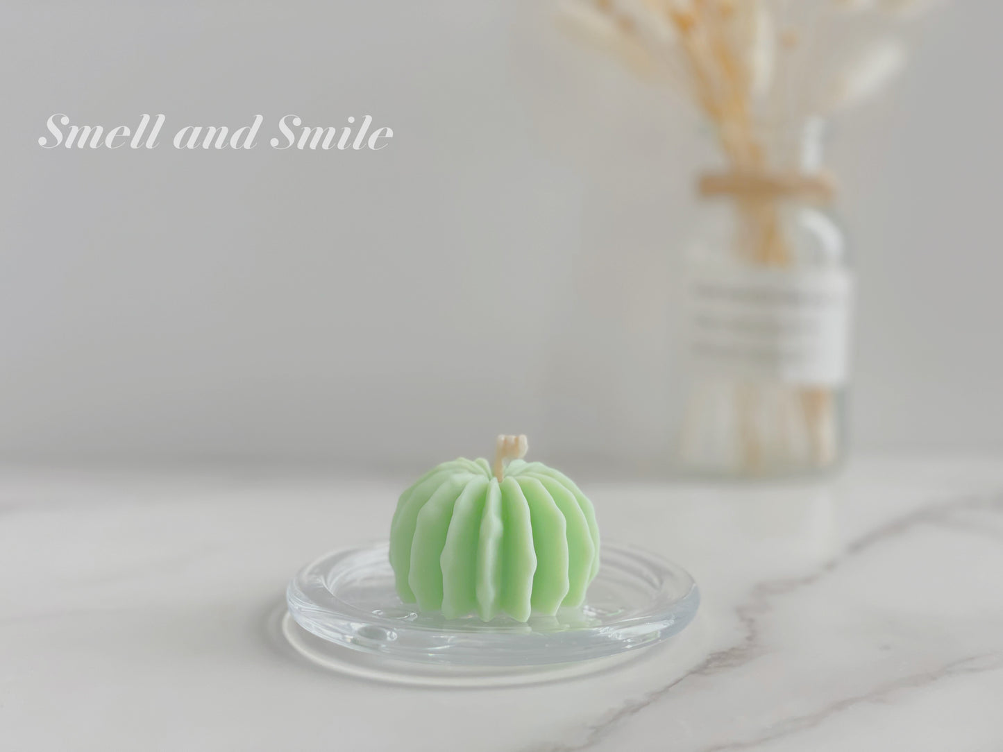 Cactus Plant Pillar Candle