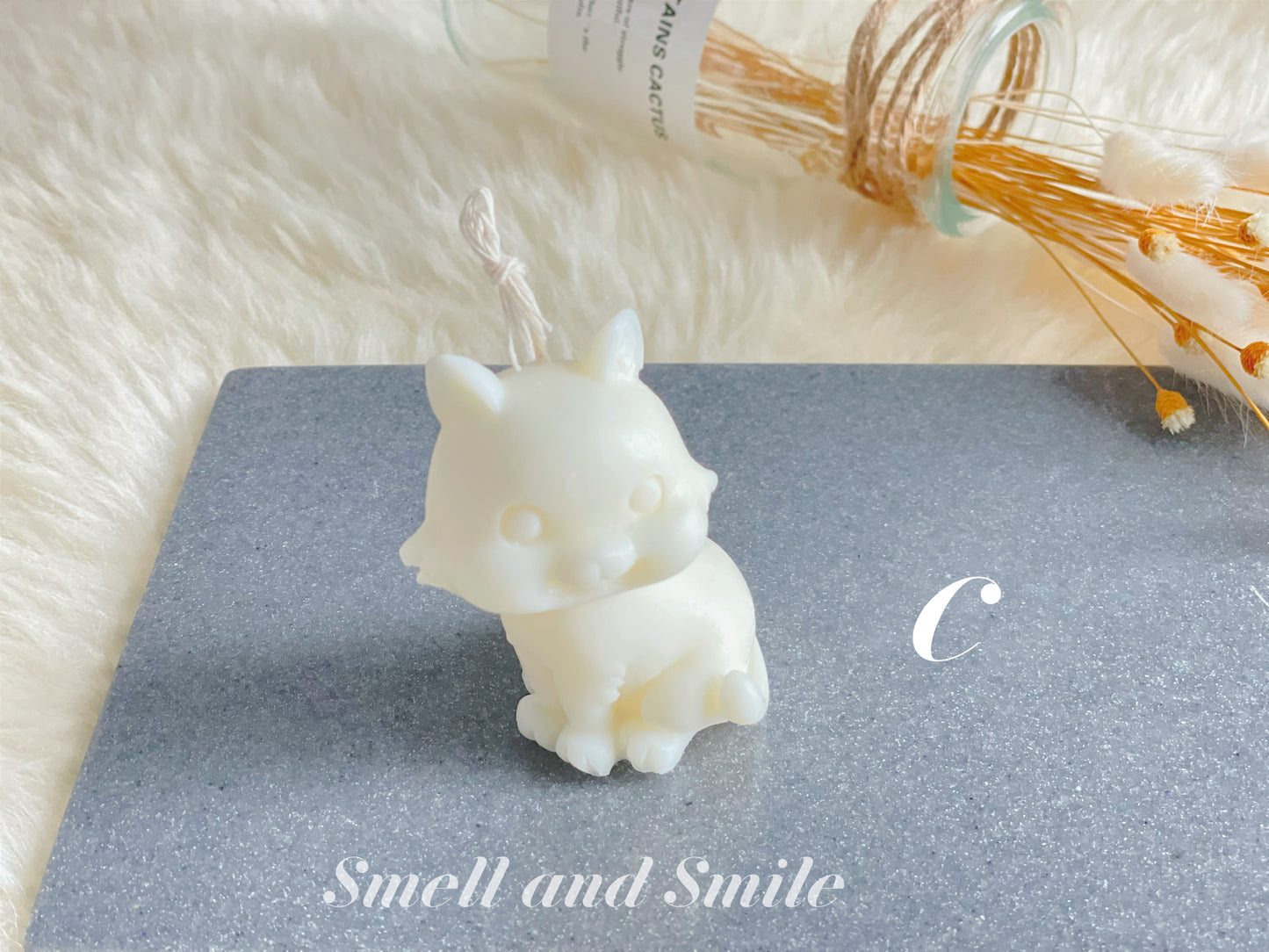 Smiling Cat