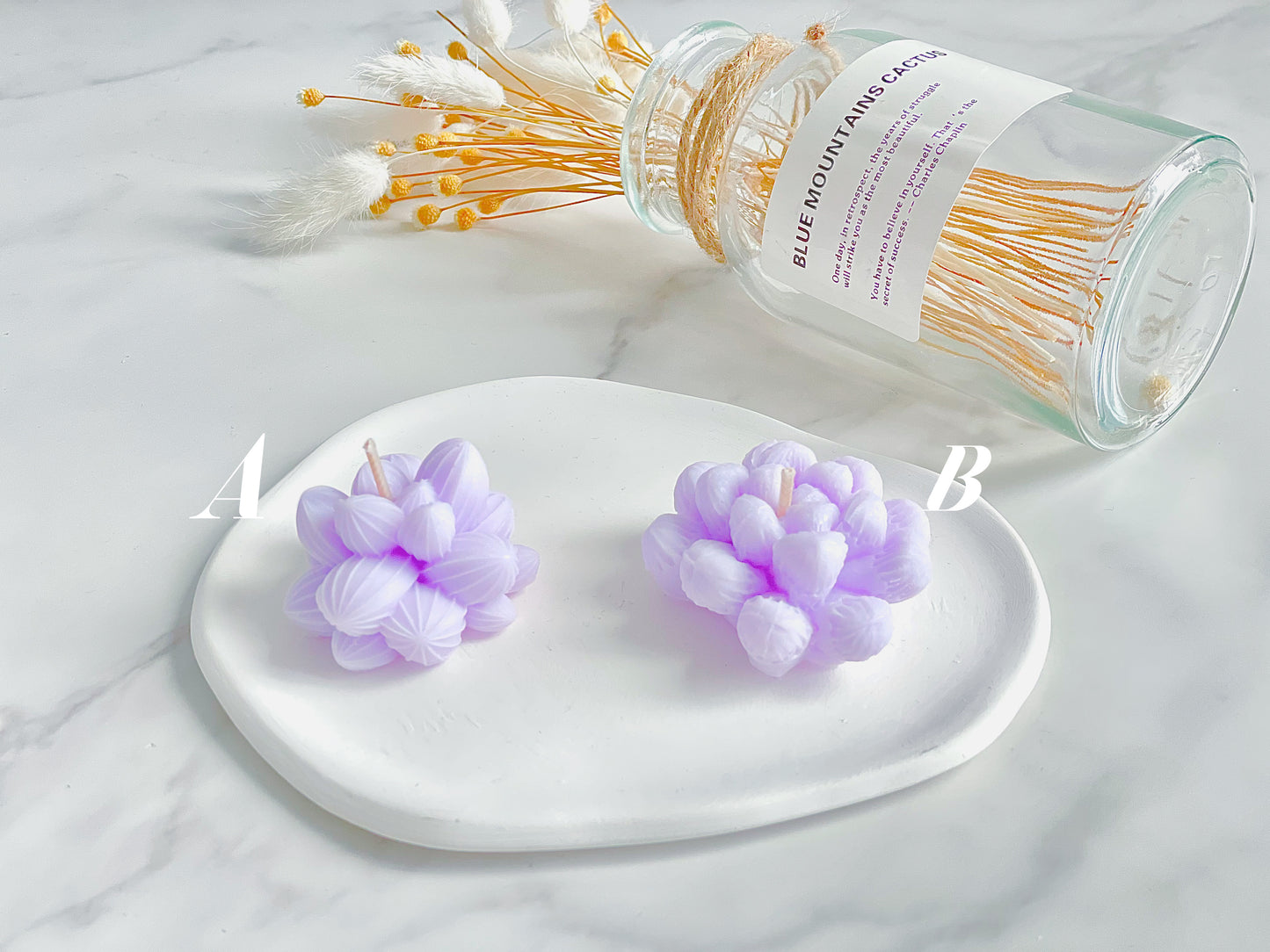 Succulent Candles