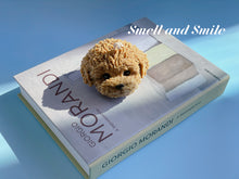 Load image into Gallery viewer, Toy Poodle
