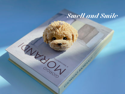 Toy Poodle