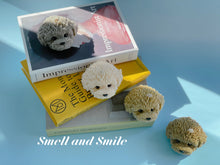 Load image into Gallery viewer, Toy Poodle
