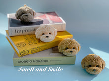 Load image into Gallery viewer, Toy Poodle
