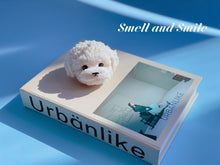 Load image into Gallery viewer, Toy Poodle
