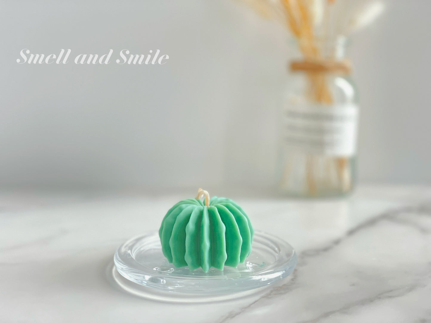 Cactus Plant Pillar Candle